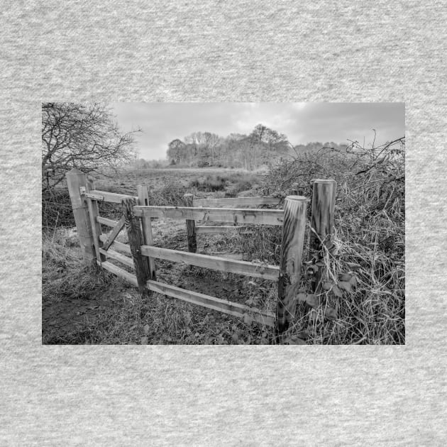 Wooden gate in the Norfolk countryside by yackers1